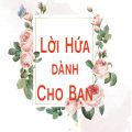 Loi Hua Danh Cho Ban
